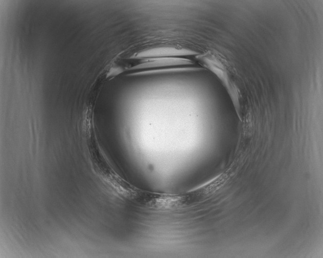 X0000072500172200608111637