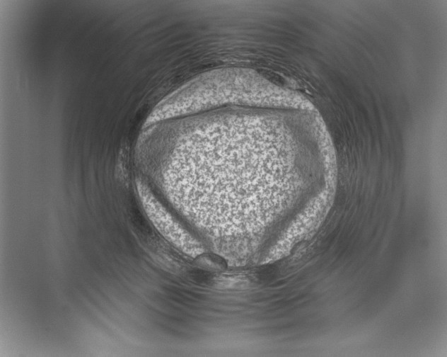 X0000072500175200608111637