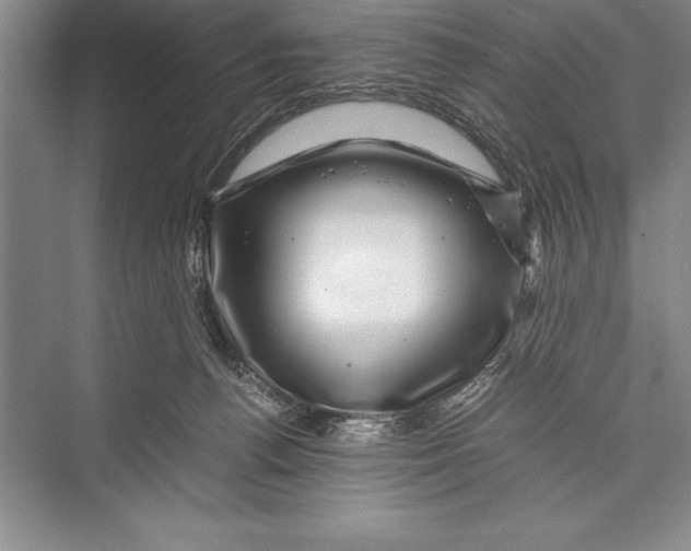 X0000072500176200608111637