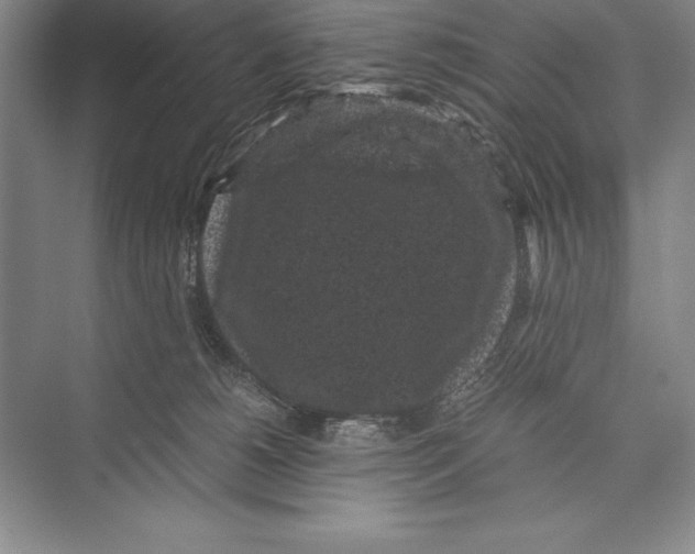 X0000072500180200608111637