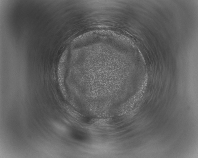 X0000072500182200608111637