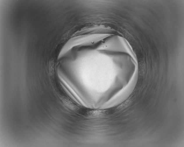 X0000072500184200608111638