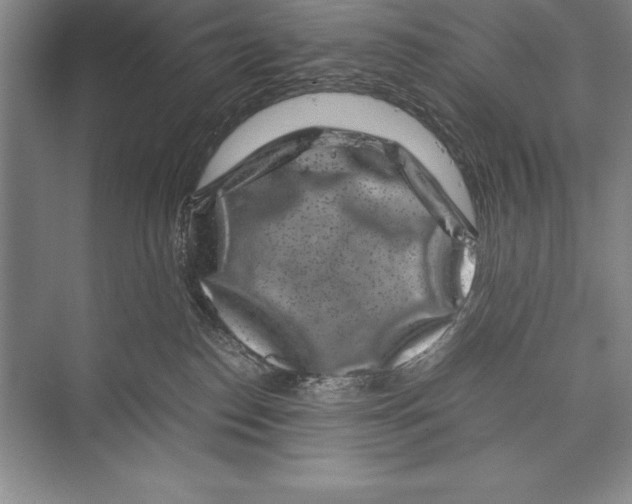 X0000072500186200608111638