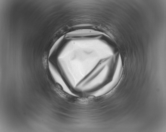 X0000072500190200608111638