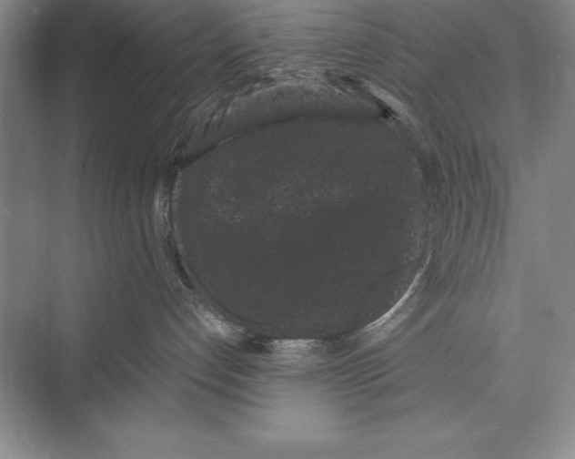 X0000072500192200608111638