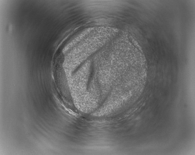 X0000072500194200608111637