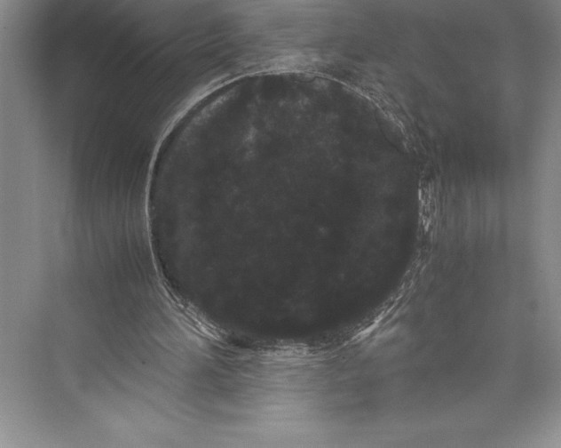 X0000072500196200608111637