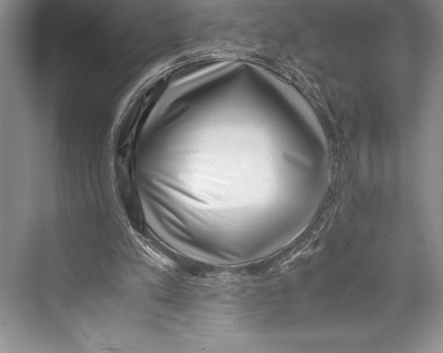 X0000072500197200608111637