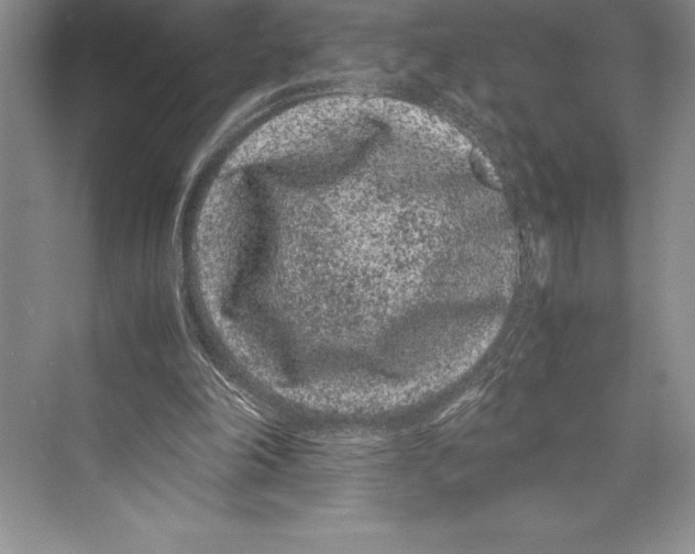 X0000072500198200608111637