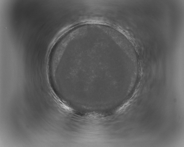 X0000072500199200608111637