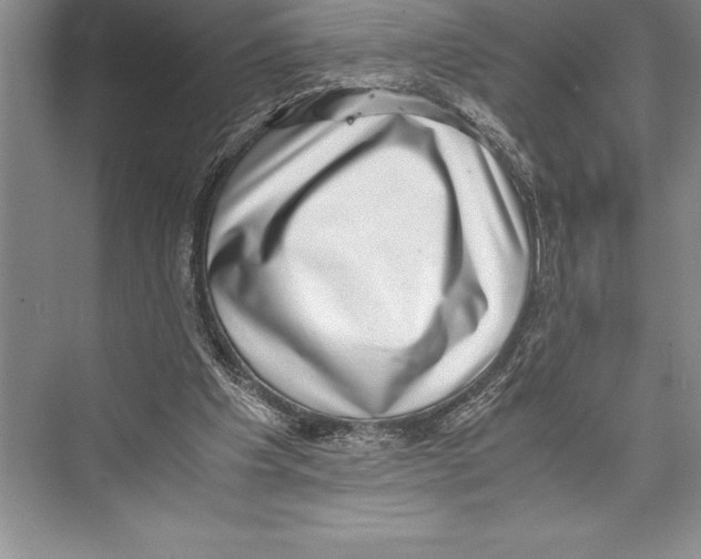 X0000072500201200608111637