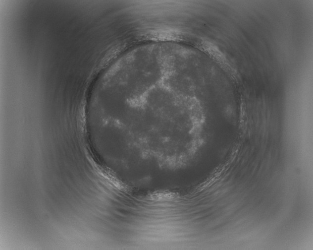 X0000072500202200608111637