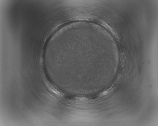 X0000072500203200608111637