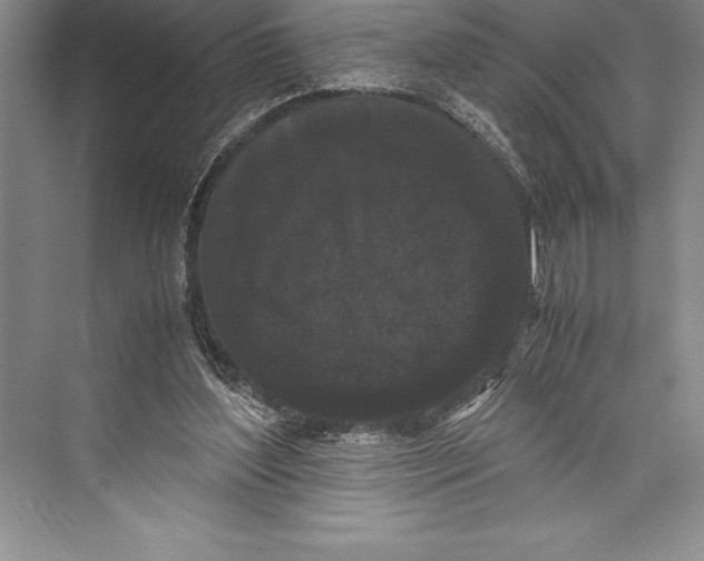 X0000072500204200608111637