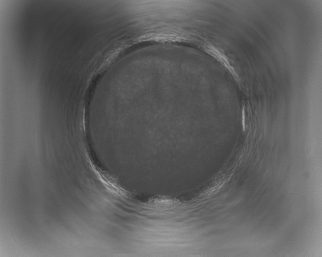 X0000072500205200608111637