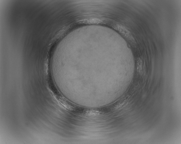 X0000072500206200608111637