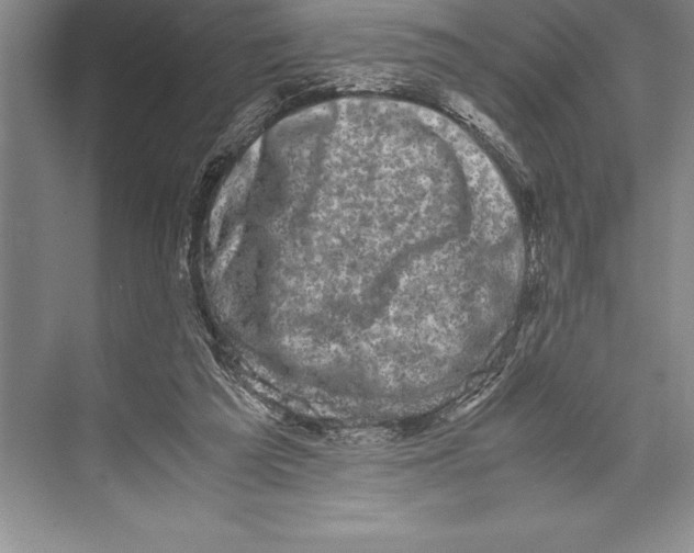 X0000072500209200608111637