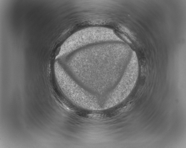 X0000072500211200608111637