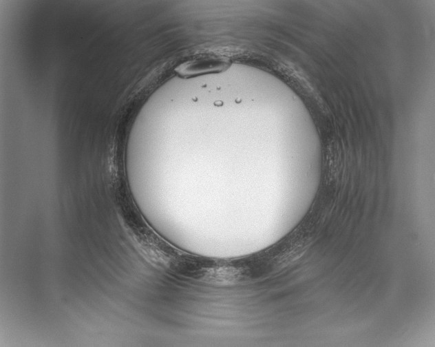 X0000072500212200608111637