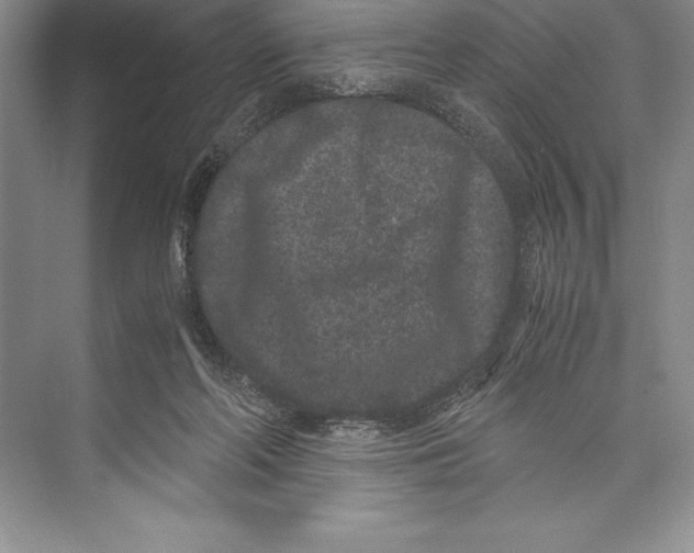 X0000072500214200608111636