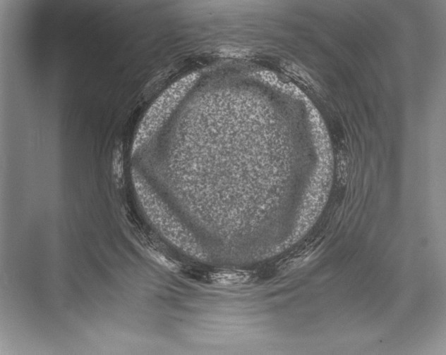 X0000072500215200608111636