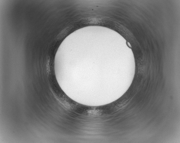 X0000072500216200608111636