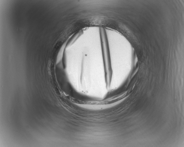 X0000072500217200608111636