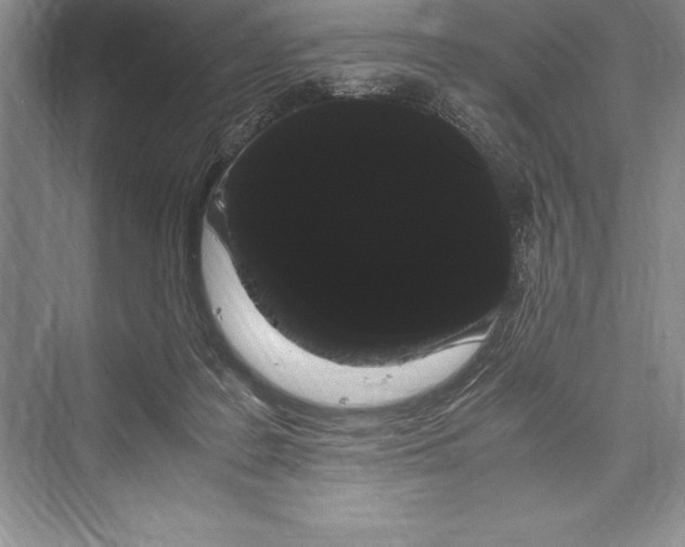 X0000072500219200608111636