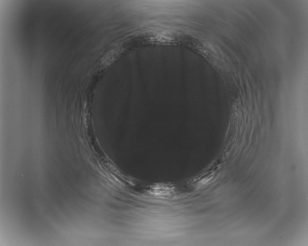 X0000072500223200608111636