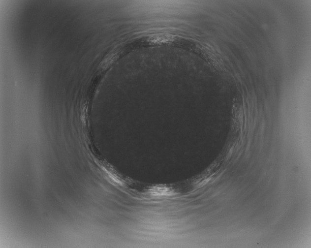 X0000072500227200608111636