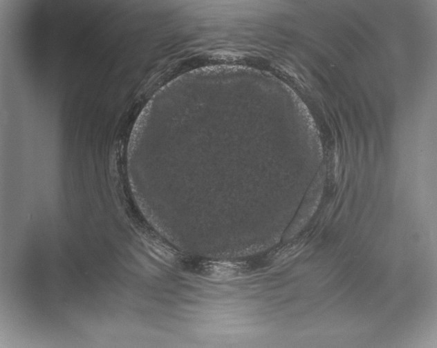 X0000072500229200608111636