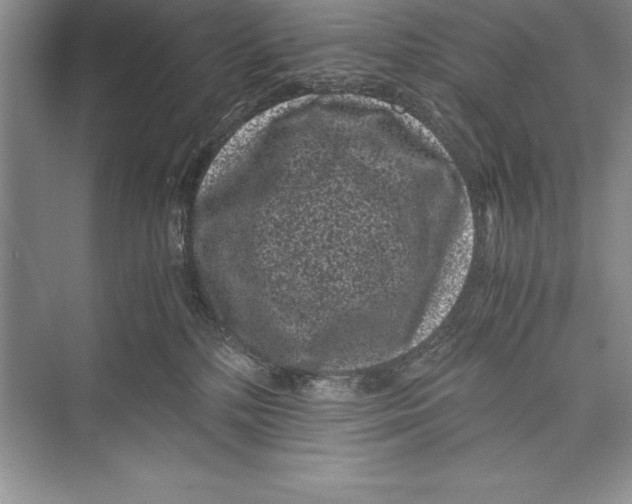 X0000072500232200608111636