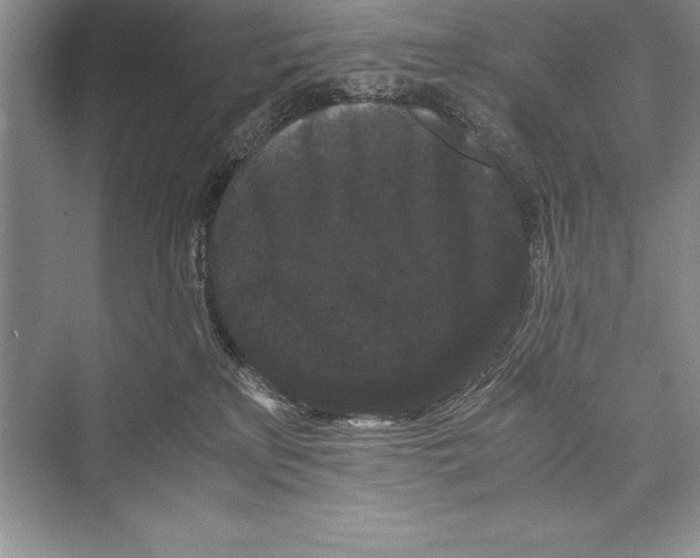 X0000072500233200608111636