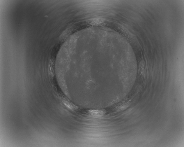 X0000072500234200608111636