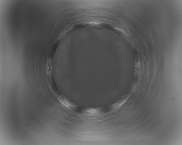 X0000072500237200608111636