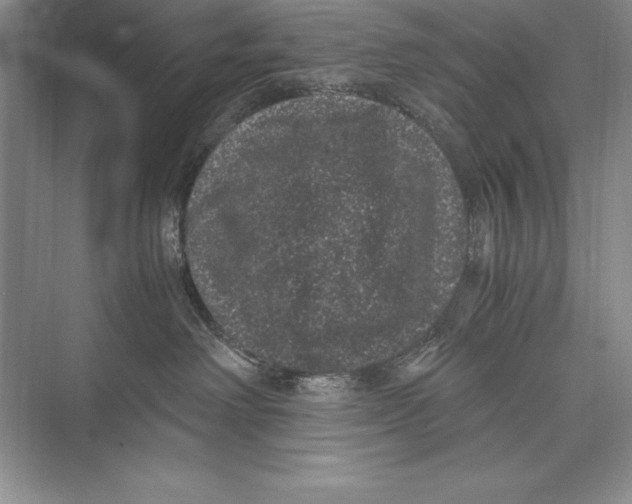 X0000072500238200608111636