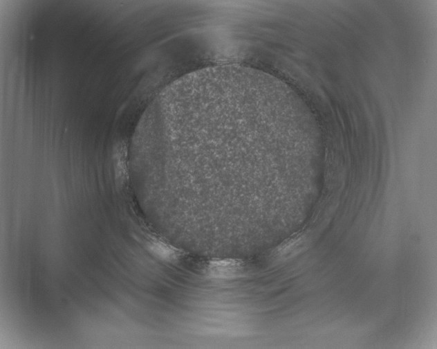 X0000072500240200608111636