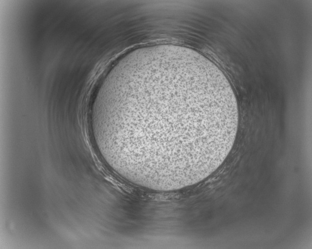 X0000072500241200608111635