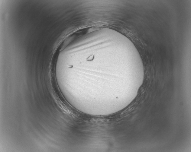 X0000072500242200608111635