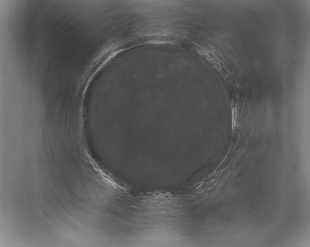 X0000072500243200608111635