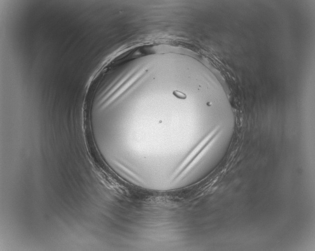 X0000072500244200608111635