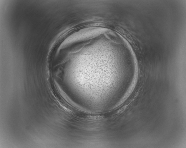 X0000072500245200608111635