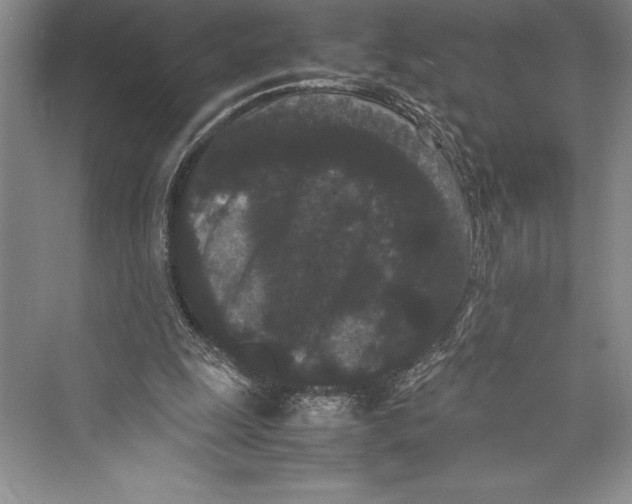 X0000072500247200608111635