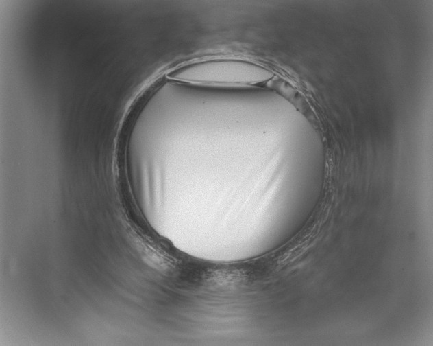 X0000072500248200608111635