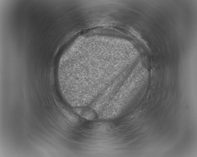 X0000072500250200608111635