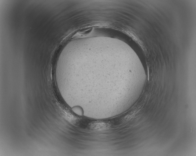 X0000072500253200608111635