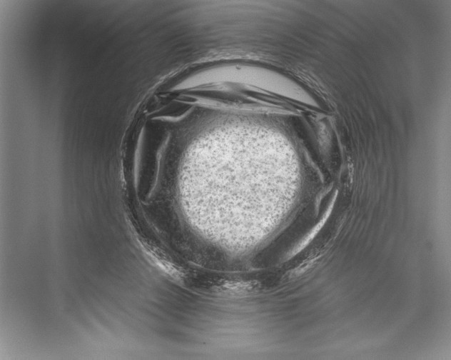 X0000072500256200608111635