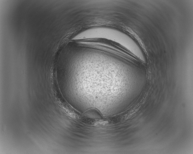 X0000072500257200608111635