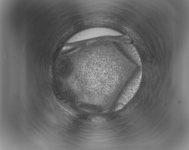 X0000072500258200608111636