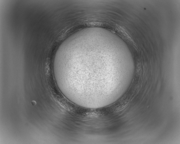 X0000072500259200608111636